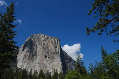 DSC_0088 (Large).JPG